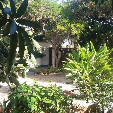 Geriba House Buzios Hotel Ngoại thất bức ảnh
